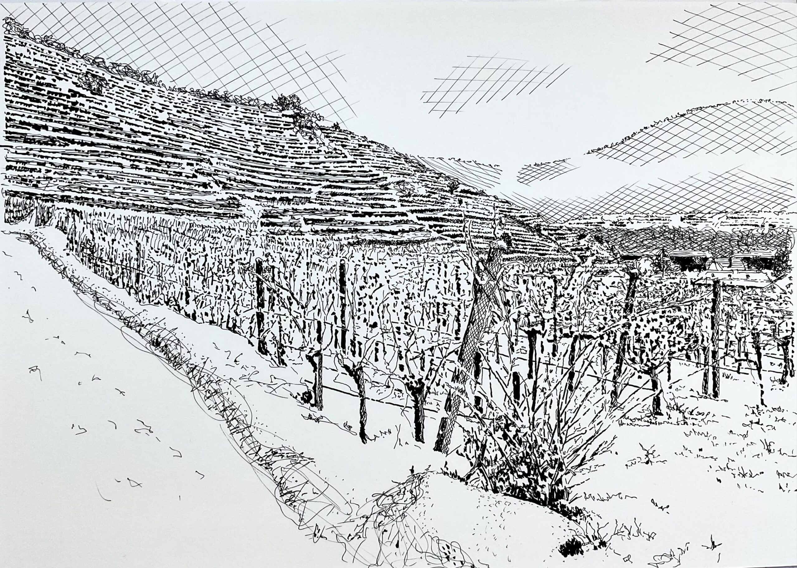 Schlafender Wein